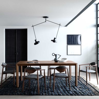 Arigato 2 L Ceiling Light