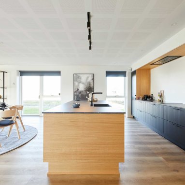 Space Black/Gold Track Spotlight Track Lighting