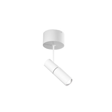 Zooom XL Ceiling Spotlight